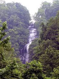 Amicalola Falls State Park