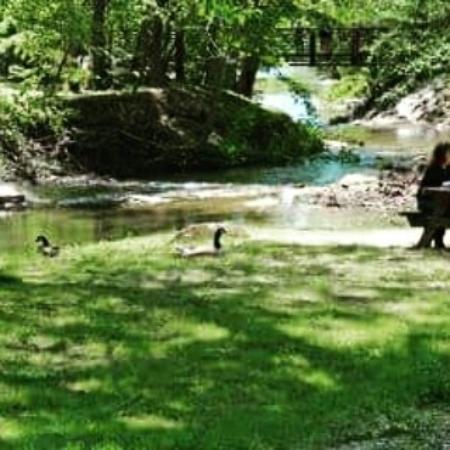 Meeks Park
