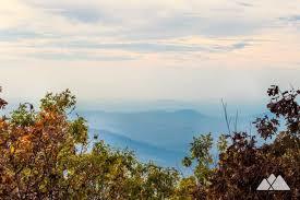 Springer Mountain Trail