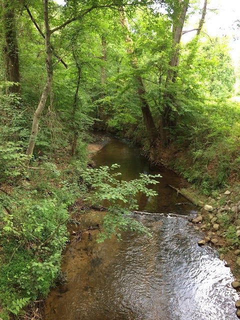 McDaniel Farm Park