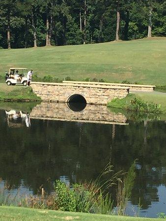 Springbrook Golf Club