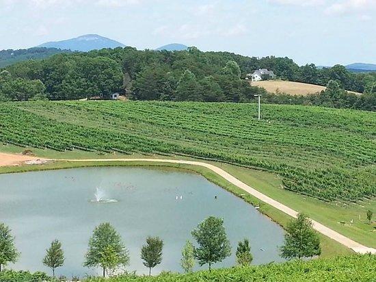 Frogtown Winery