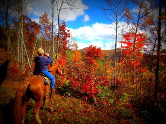 Adventure Trail Rides