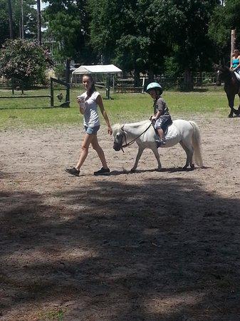 Norwood Stables