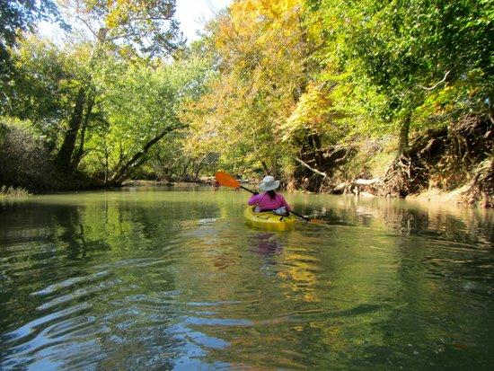 Tu Canoe Rentals
