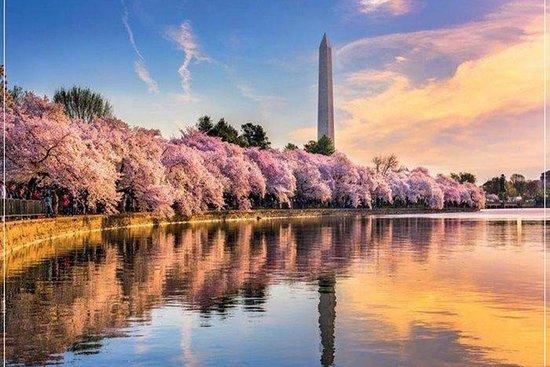 Omni Travel & Tours