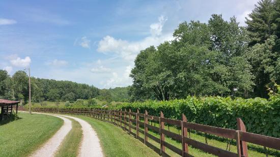 Stonewall Creek Vineyards