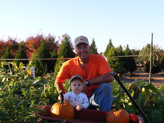 Yule Forest Pumpkin Patch