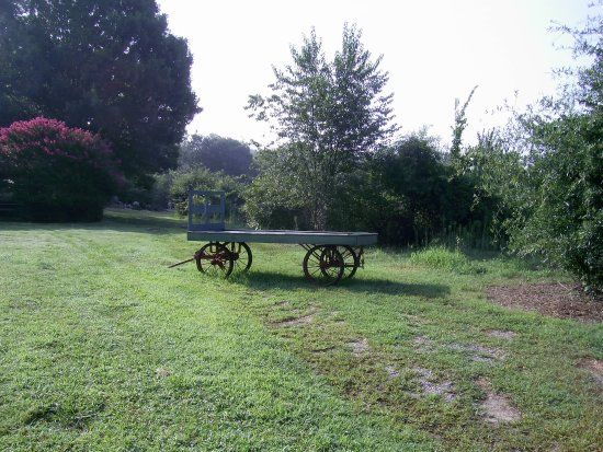 Berry Patch Farm