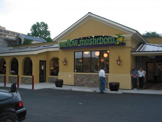 Mellow Mushroom