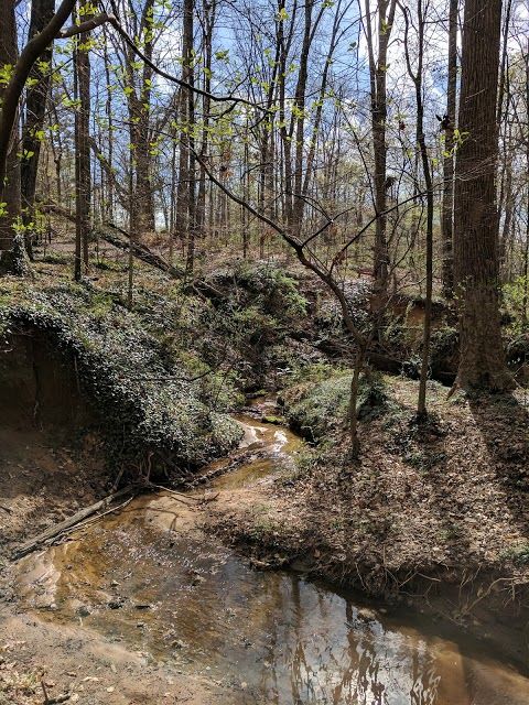 Deepdene Park
