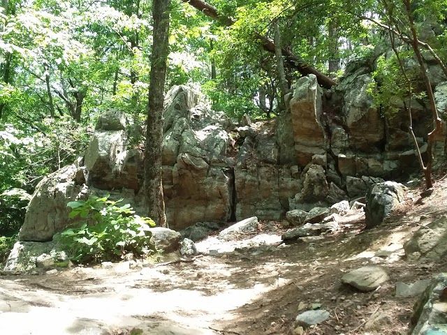 Pine Mountain Trail