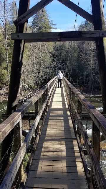 Appalachian Trail in Georgia