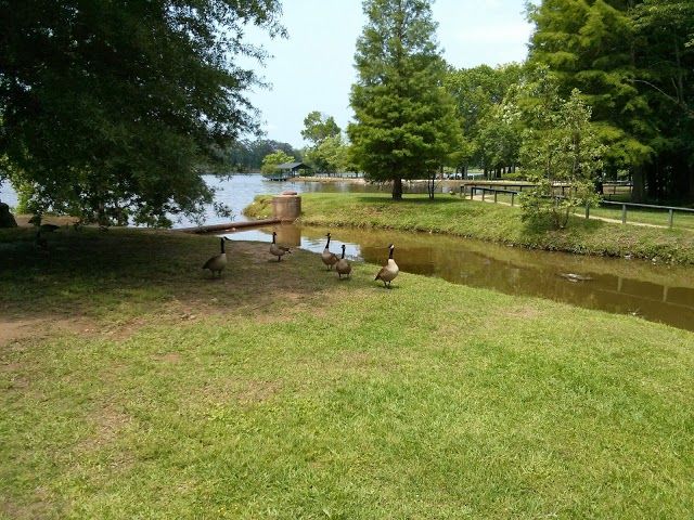 Cooper Creek Park
