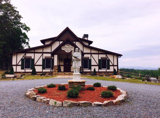 Engelheim Vineyard
