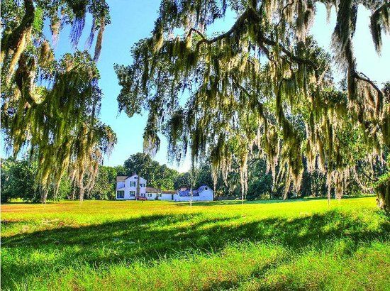 Hofwyl-Broadfield Plantation