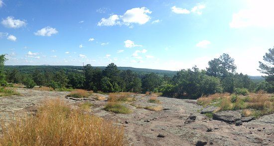 Panola Mountain State Conservation Park