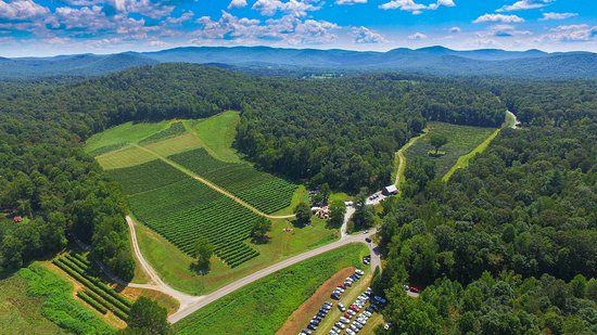 Cartecay Vineyards