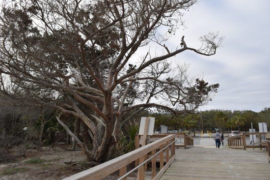 Massengale Park